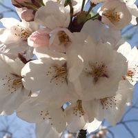 福岡 R2-R3産まれママ友