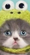 ハゲミント