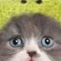 ハゲミント