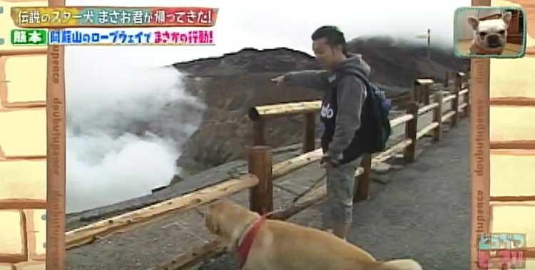 何問正解できる ポチたま の人気旅犬 まさお君の爆笑ハプニングクイズに挑戦 どうぶつピース