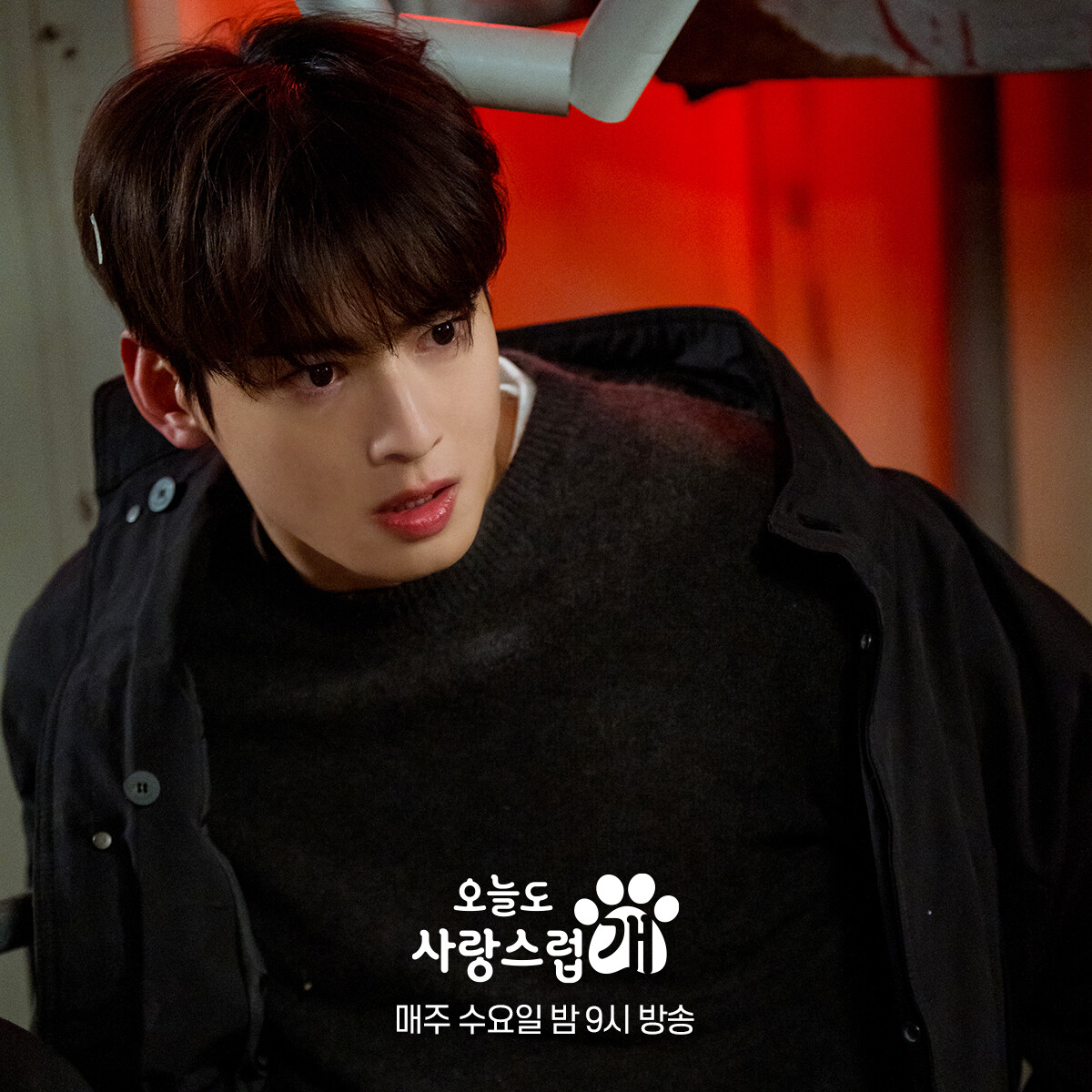 盤點2023年「最心動韓劇男主角」TOP10