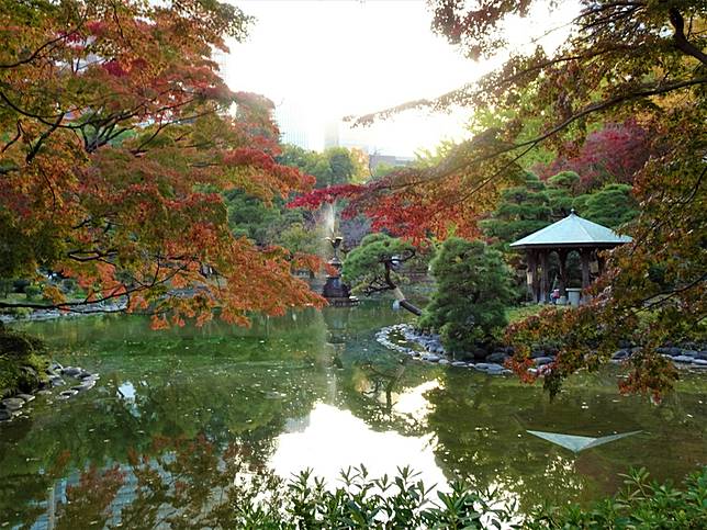 憂疫情不遠行東京日比谷公園可賞銀杏紅楓 圖 中央通訊社 Line Today