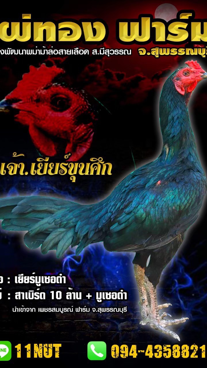 ไผ่ทองฟาร์ม