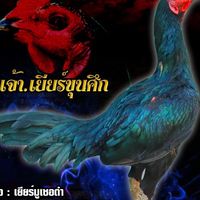 ไผ่ทองฟาร์ม