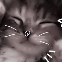 【雑談】学生の話題！