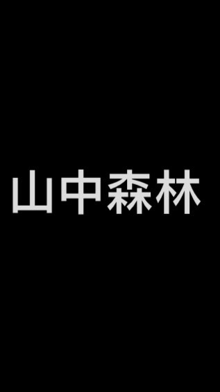 山中森林
