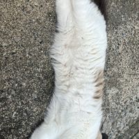 セキュリティサービス