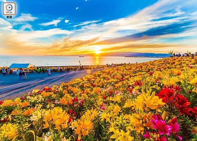 大阪舞洲百合園即將開園 On Cc 東網 Line Today