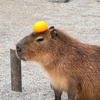 華紙花蓮廠工安室交流群組