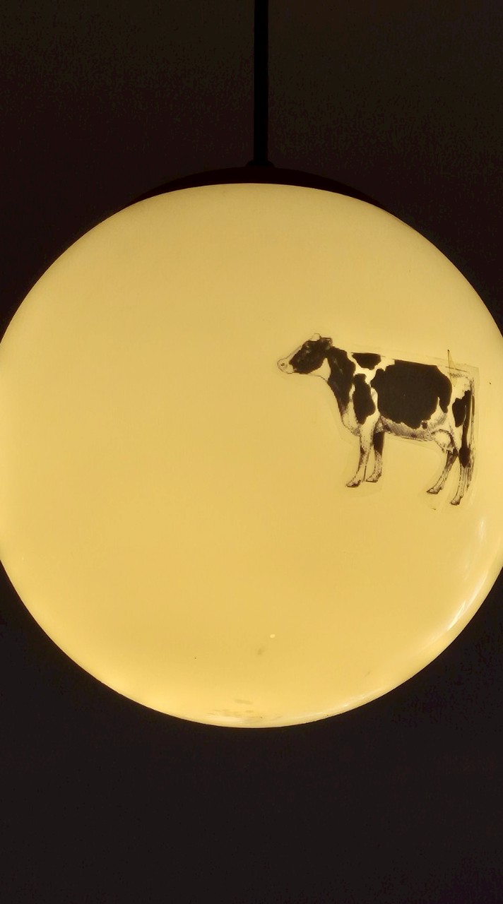 นักศึกษา ป.บัณฑิต สาขาวิชาชีพครู 2568