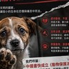 揭陽虐狗天道推手