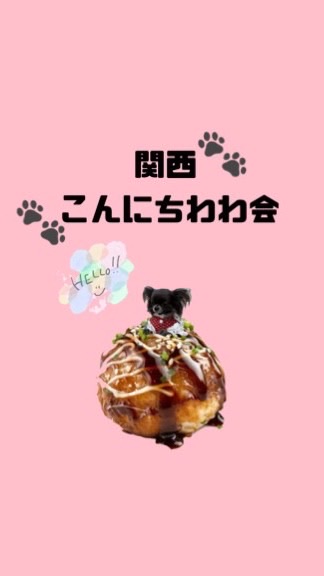 関西こんにちわわ会