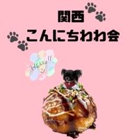 関西こんにちわわ会