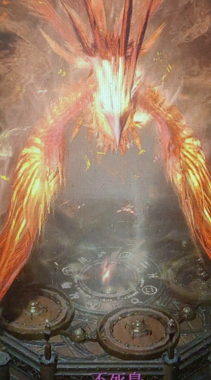 👑 天堂W (快樂天堂鳥）