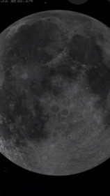 脳と心の栄養補給班