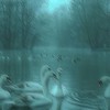 もう二度と、あの日には戻れないと知っていた。