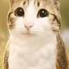 入ったらふにゃオス確定⁉️😭(絶望)/全緩也〜❤