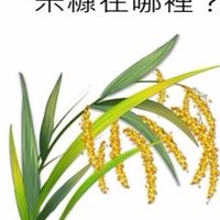 營養米糠RETRA