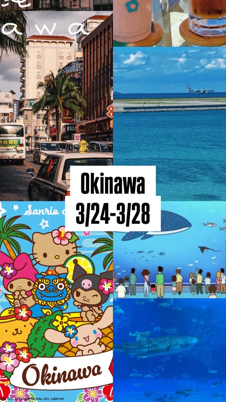 日本🇯🇵沖繩代購3/24-3/28