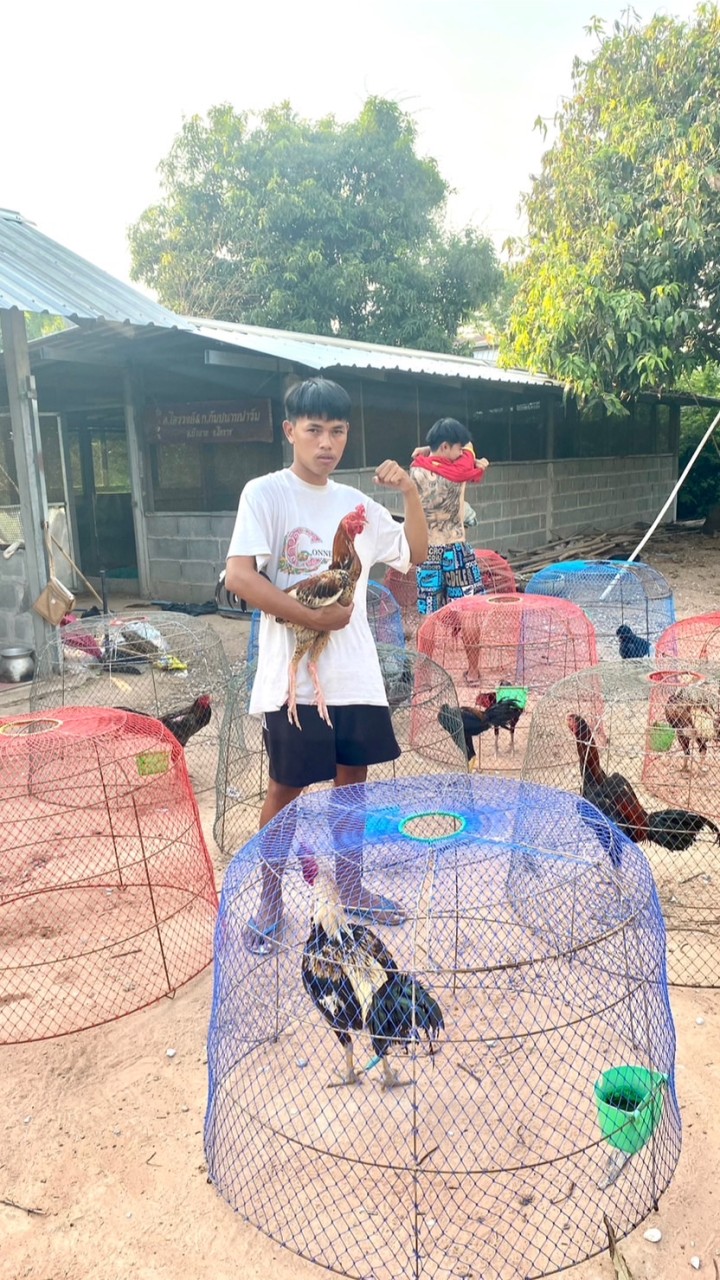 Fc บัวลายทีม🐓