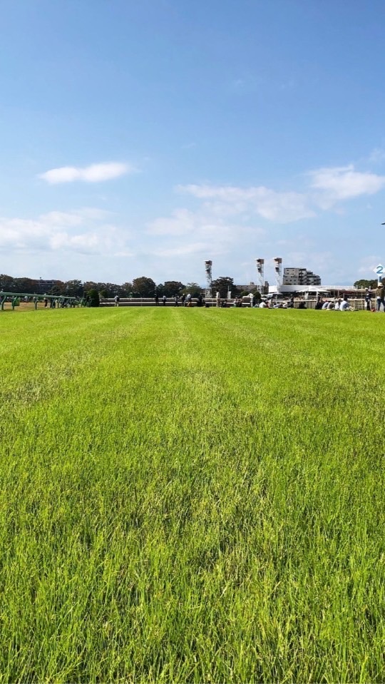 のんびり競馬　時々競馬場in関西