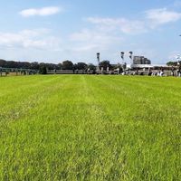 のんびり競馬　時々競馬場in関西