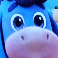 頭おかしい深夜団