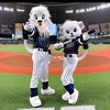 【中高生限定！】ライオンズファン集まれ！