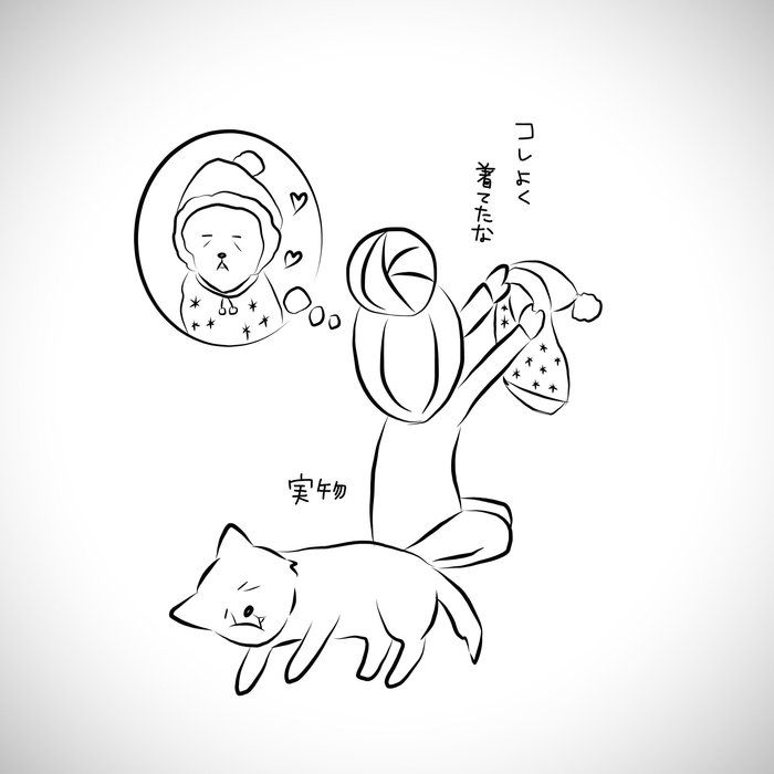 おばあちゃん犬との思い出に浸る 涙腺ゆるみっぱなしに