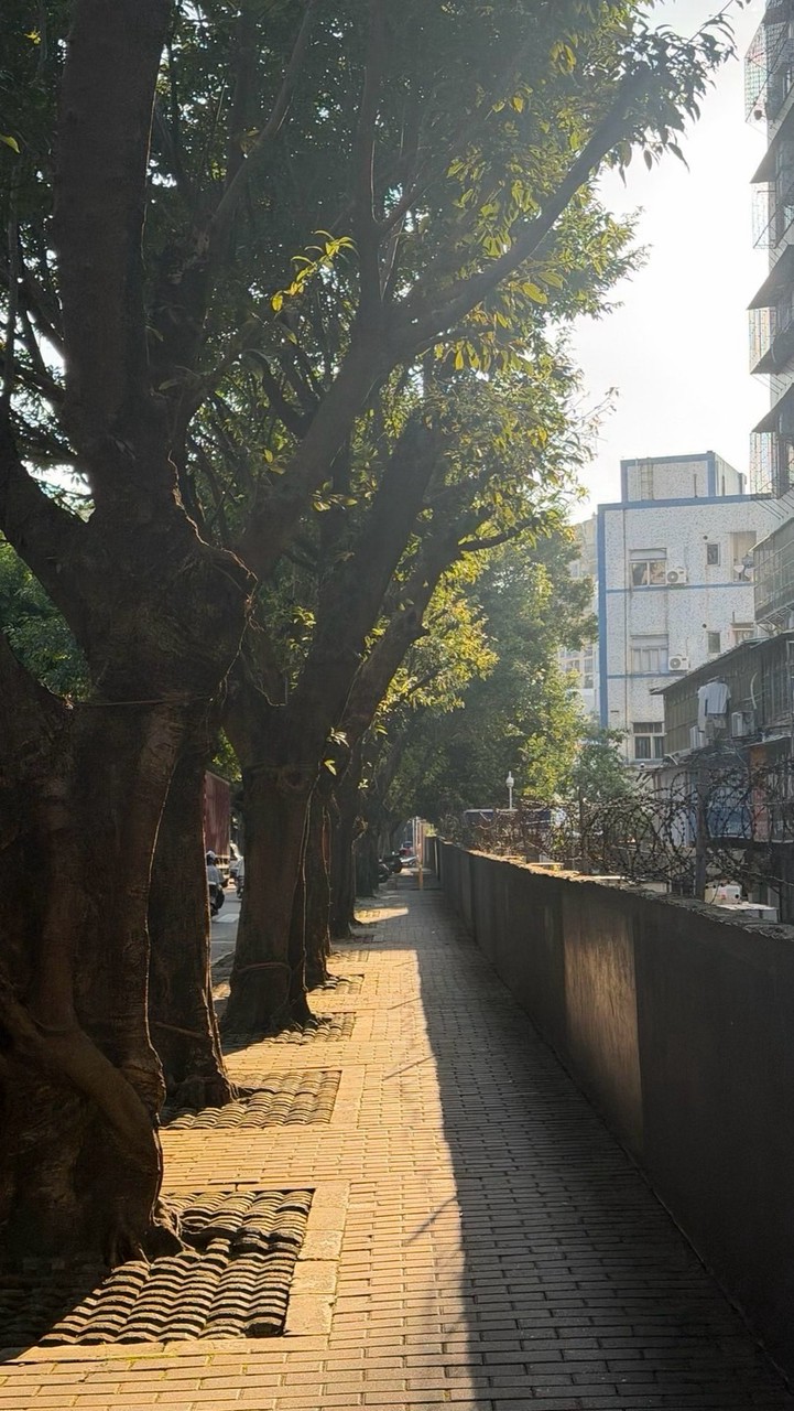 一路順風