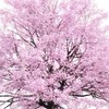モンスト高難度攻略＆雑談部屋