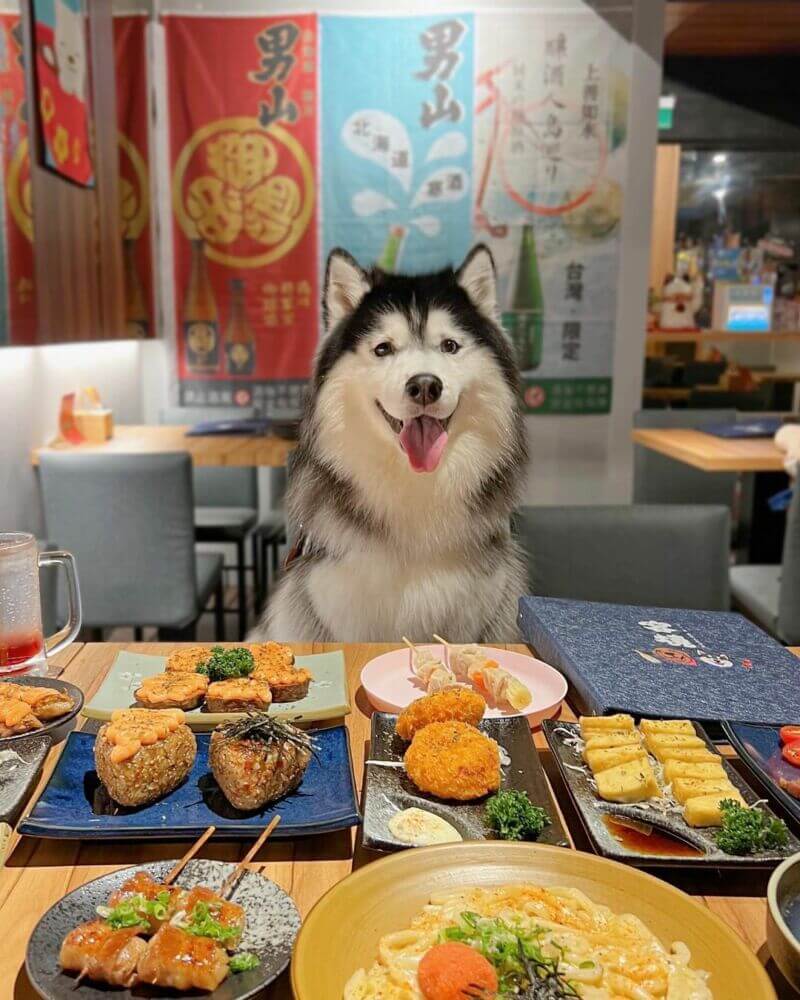 台北寵物友善餐廳-容燒居酒屋