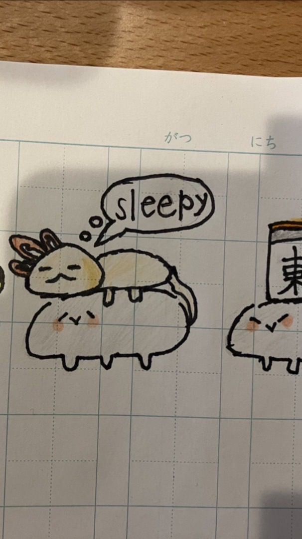 初心者教室・友サポーター