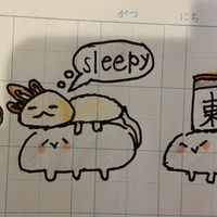 初心者教室・友サポーター
