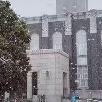 数学、理科勉強を楽しむのよ！