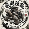 龜罔 陸龜亞達實體店