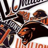 🦁🧡喵喵大家庭🧡🦁