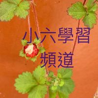 小六學習頻道