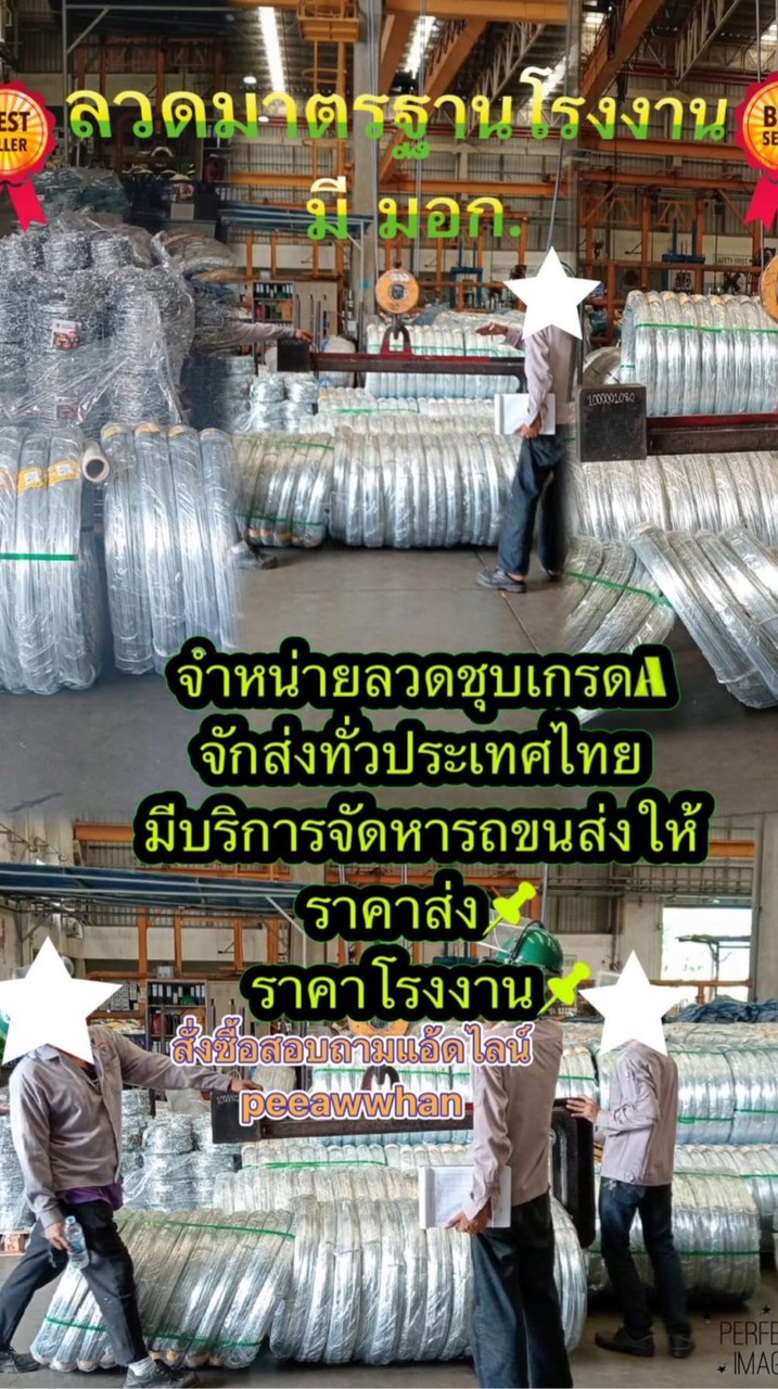 กลุ่มลวดหมาดำส่งทั่วไทย