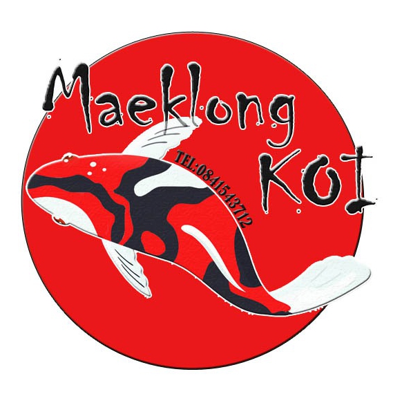 Maeklong koi