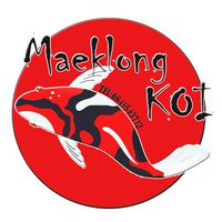 Maeklong koi