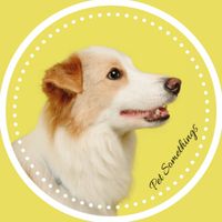 Pet Somethings 寵物用品團購/代購/毛爸媽選物 社群