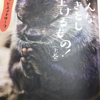 日本動物病院被害者支援ネットワーク、  猫と犬の権利を守る会