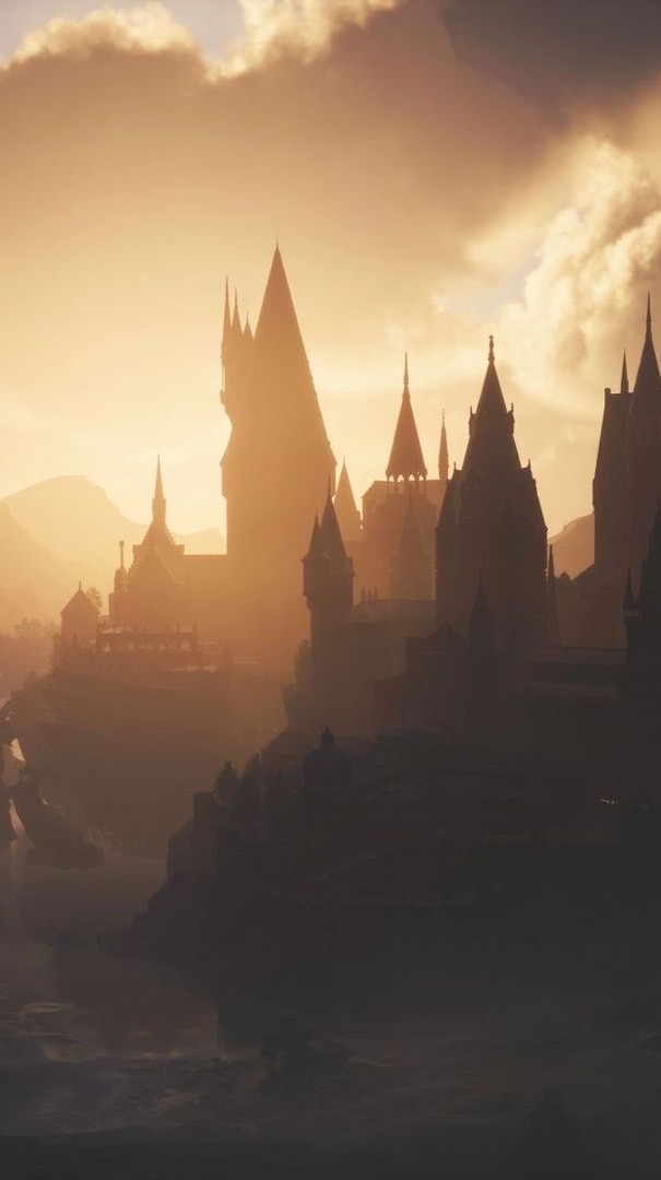 Harry Potter Roleplay ⋆˚꩜｡
