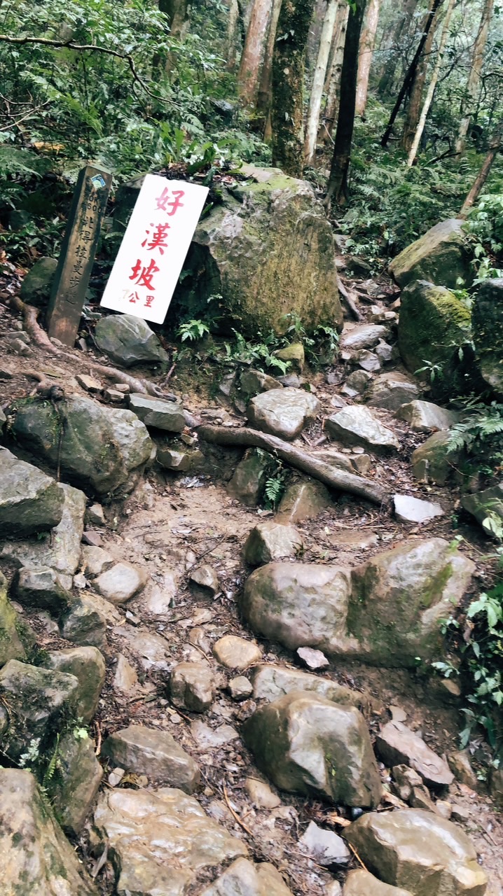竹苗區大小山攻略計劃⛰️