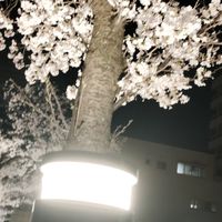 少ないところで喋りたい人ここおいで！