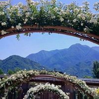 🌹シングルシニアの楽しい仲間づくりの部屋🌹みんなで笑いましょう🌹60代70代🌹あなたはどんな人ですか