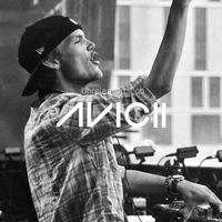 Avicii ID研究所