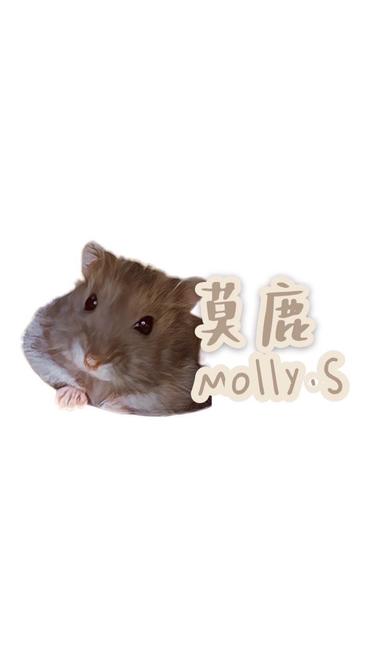 莫鹿🐹鼠鼠開飯啦