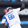 日本ハムファイターズファンの集い